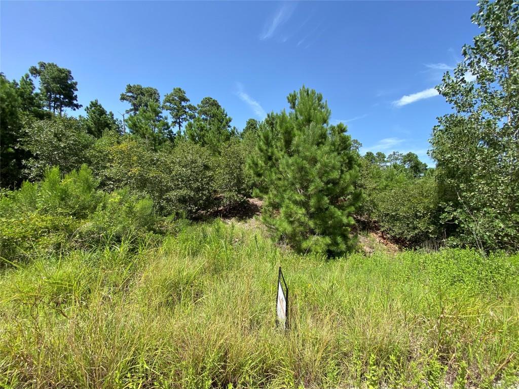 184 Keo Kea Ct, Bastrop, TX 78602