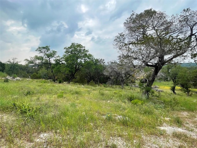 1102 Debco Ln, Spicewood, TX 78669 - photo 8