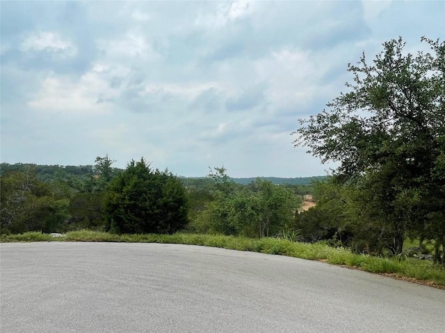 1102 Debco Ln, Spicewood, TX 78669 - photo 4