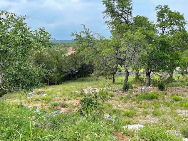 1102 Debco Ln, Spicewood, TX 78669 - photo 6