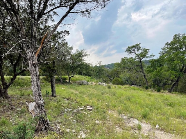 1102 Debco Ln, Spicewood, TX 78669 - photo 7
