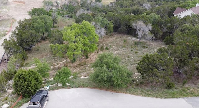 1102 Debco Ln, Spicewood, TX 78669 - photo 18