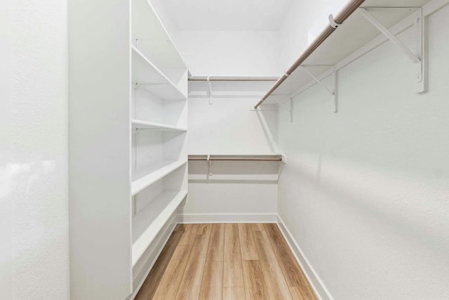 walk in closet featuring hardwood / wood-style flooring