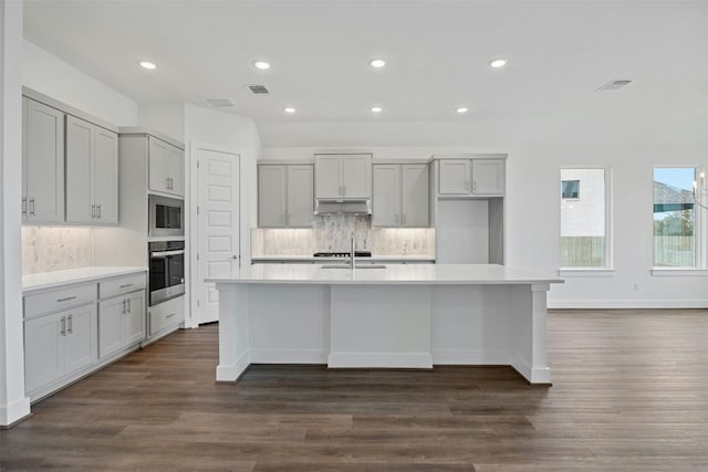 509 Sierra Lisa Cv, Liberty Hill, TX 78642 - kitchen featuring gray cabinetry, appliances with stainless steel finishes, under cabinet range hood, an island with sink, and backsplash