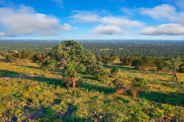 Listing photo 3 for LOT242 Westridge Way, Kingsland TX 78639