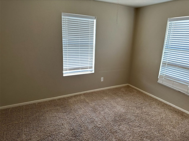 empty room featuring carpet and a wealth of natural light