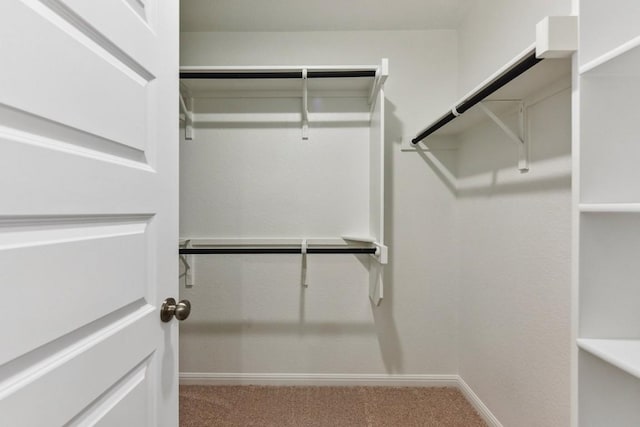 walk in closet with carpet