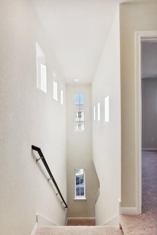 staircase featuring carpet