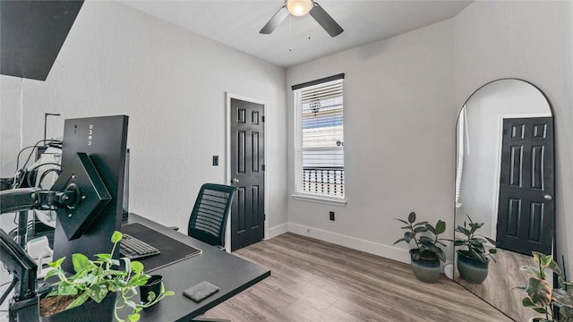 office featuring hardwood / wood-style floors and ceiling fan