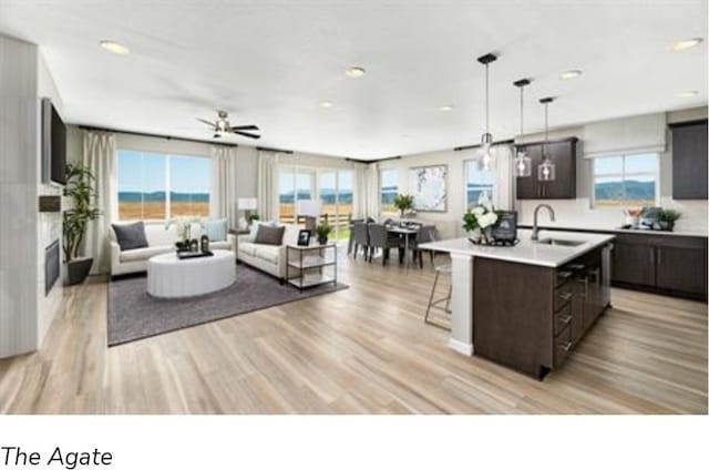 interior space featuring sink, light wood-type flooring, and ceiling fan