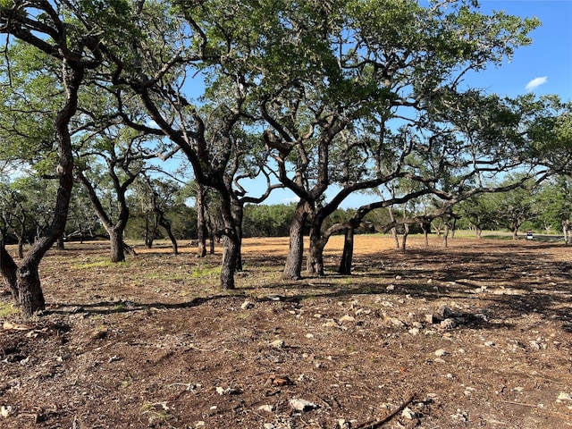 304 Stonegate Ln, Dripping Springs TX, 78620 land for sale