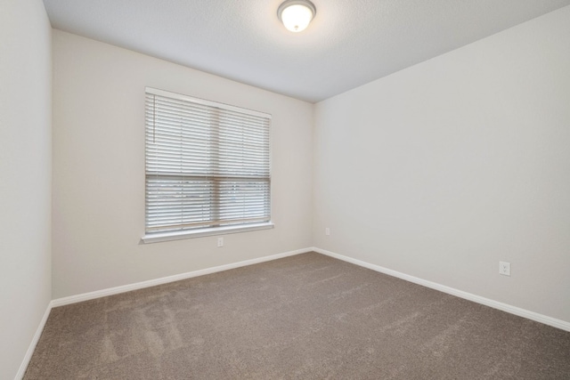 spare room with carpet floors