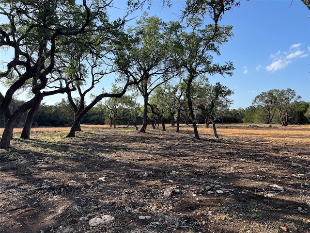 300 Stonegate Ln, Dripping Springs TX, 78620 land for sale