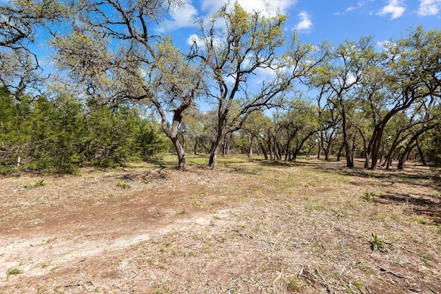 33524 Brooks Ranch Rd, Austin, TX 78620