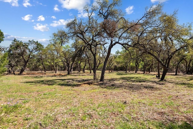 33524 Brooks Ranch Rd, Austin, TX 78620 - photo 9