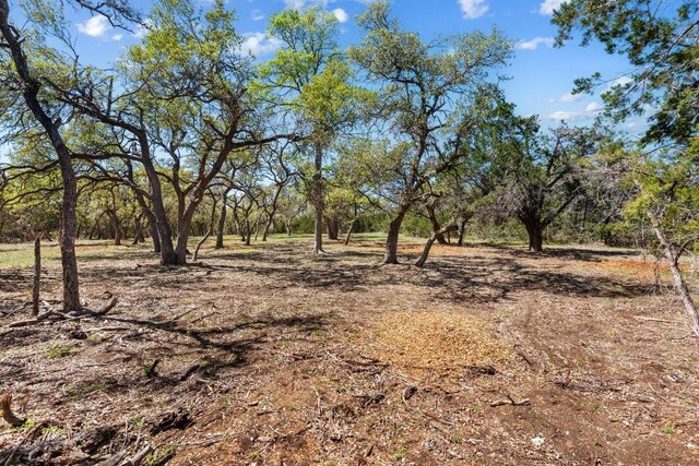 33524 Brooks Ranch Rd, Austin, TX 78620