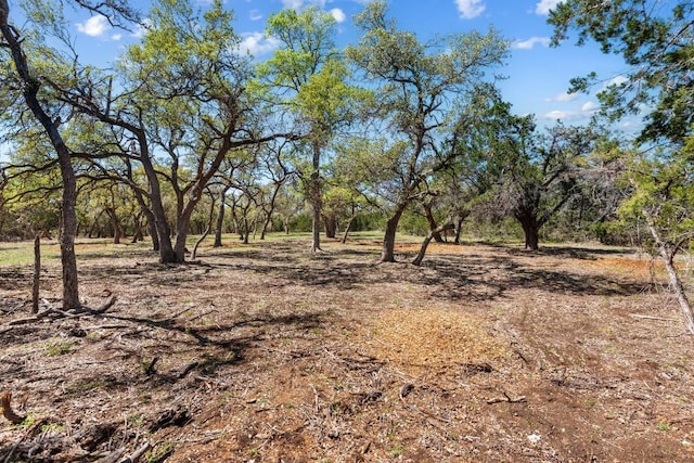 33524 Brooks Ranch Rd, Austin, TX 78620 - photo 10