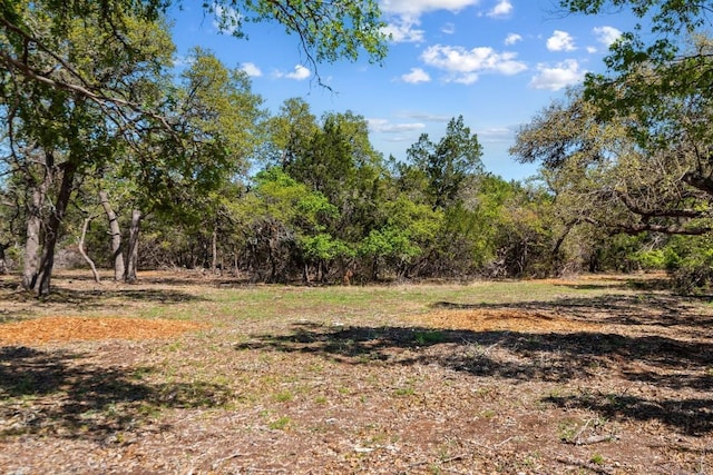 33524 Brooks Ranch Rd, Austin, TX 78620