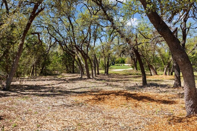 33524 Brooks Ranch Rd, Austin, TX 78620 - photo 12