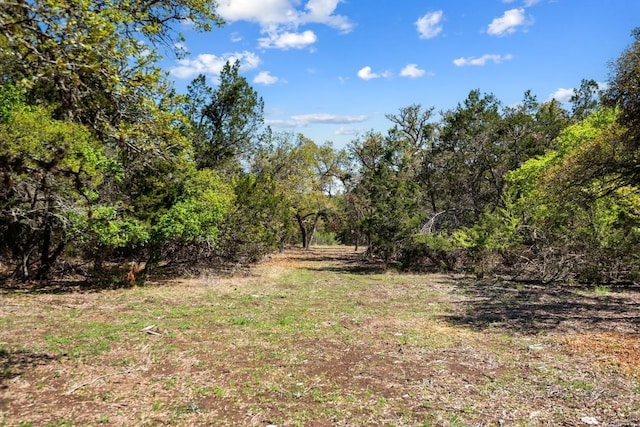 33524 Brooks Ranch Rd, Austin, TX 78620