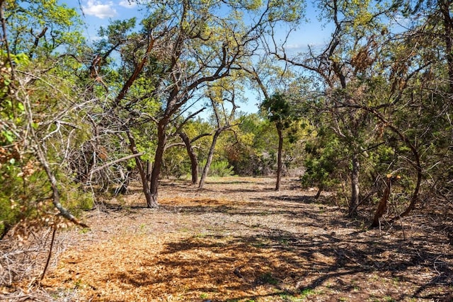 33524 Brooks Ranch Rd, Austin, TX 78620