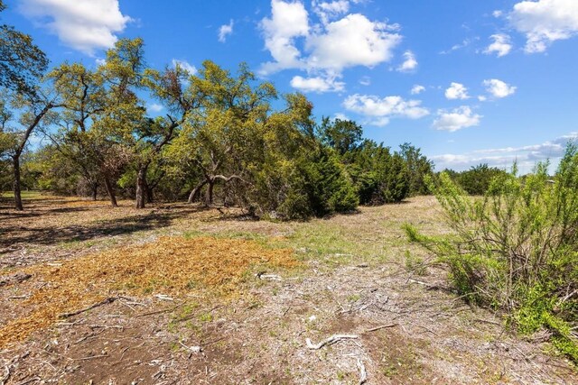 33524 Brooks Ranch Rd, Austin, TX 78620
