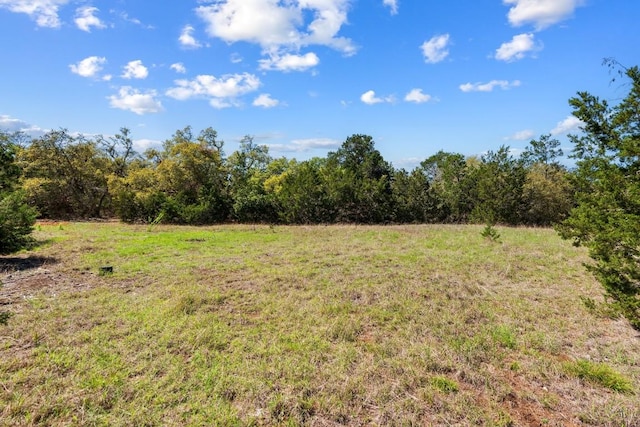 33524 Brooks Ranch Rd, Austin, TX 78620