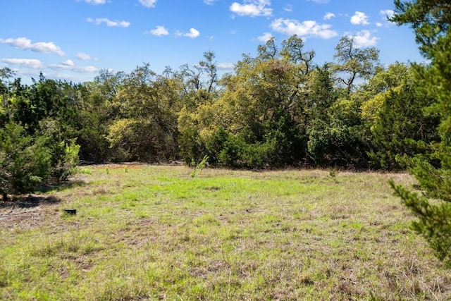 33524 Brooks Ranch Rd, Austin, TX 78620 - photo 17