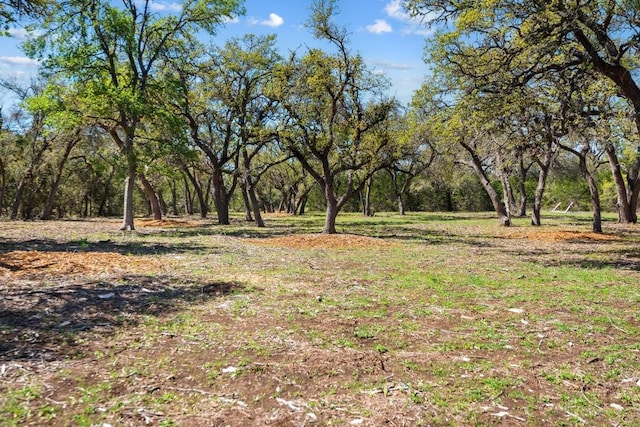 33524 Brooks Ranch Rd, Austin, TX 78620 - photo 2