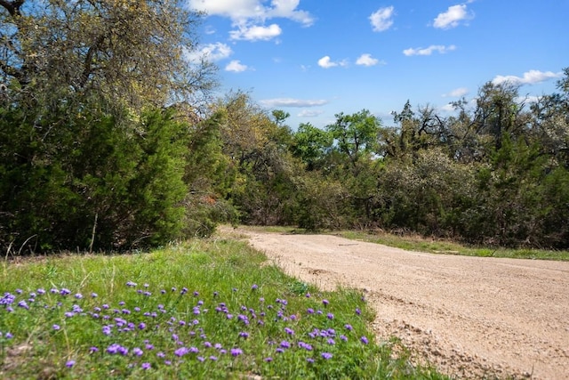 33524 Brooks Ranch Rd, Austin, TX 78620