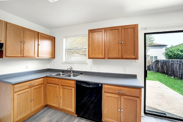 kitchen with a wealth of natural light, light hardwood / wood-style flooring, dishwasher, and sink