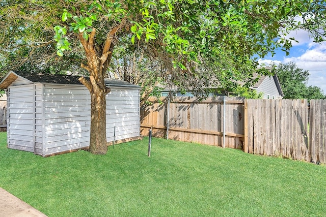 view of yard featuring a storage shed