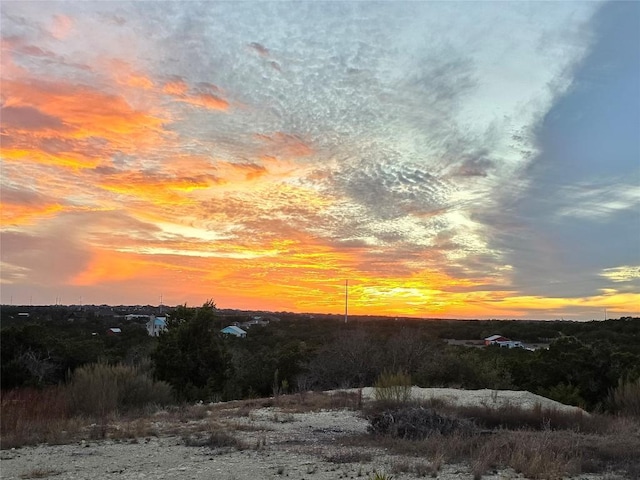 00 Apple Springs Dr, Leander TX, 78641 land for sale