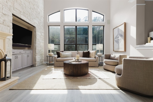 living room with light hardwood / wood-style flooring and a high ceiling