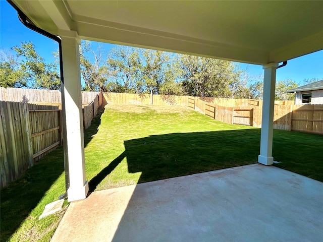 view of yard with a patio area