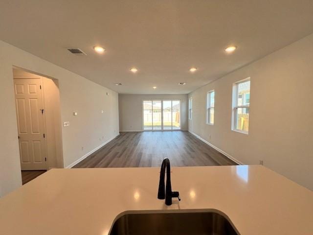 kitchen with sink and wood-type flooring