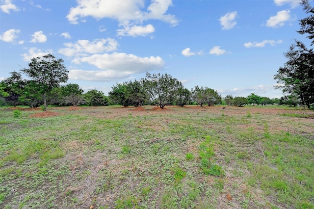 TRACT1 Kelley Ln, Buda, TX 78610 - photo 19