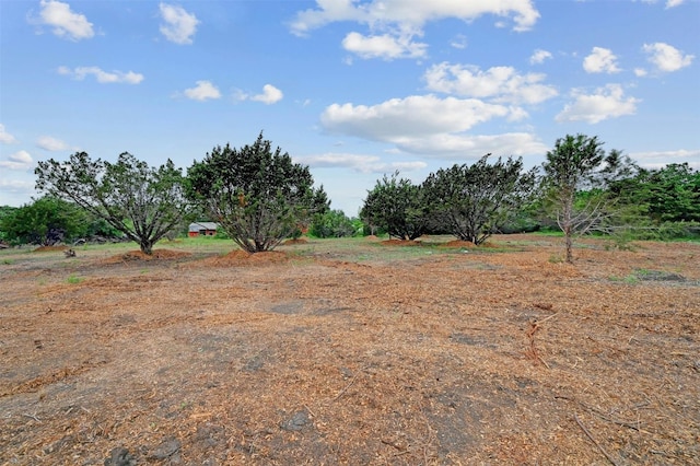 TRACT1 Kelley Ln, Buda, TX 78610 - photo 24