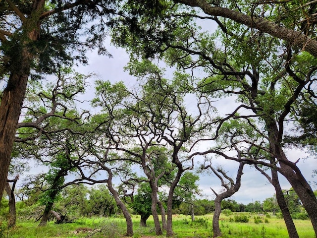 160 Rocky Meadows Ln, Wimberley TX, 78676 land for sale