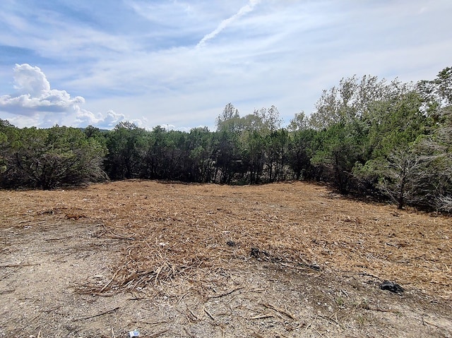 view of local wilderness