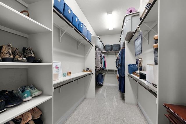 spacious closet featuring light colored carpet