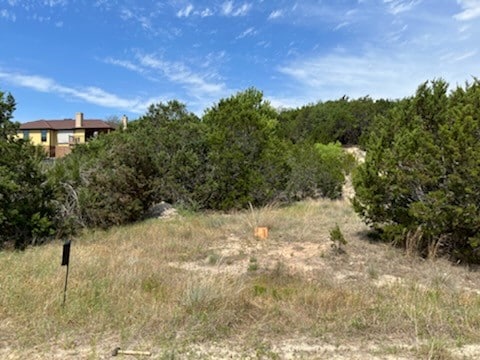 314 Alloway Dr, Spicewood TX, 78669 land for sale