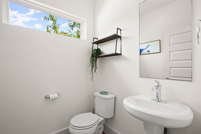 bathroom featuring sink and toilet