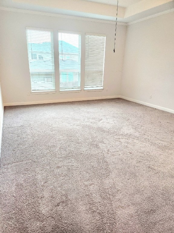 spare room featuring carpet and ornamental molding