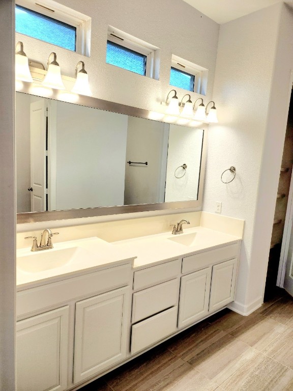 bathroom with a wealth of natural light and dual vanity