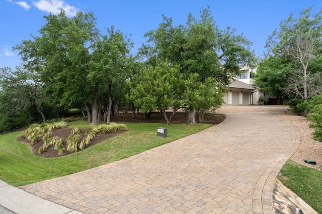 view of property hidden behind natural elements featuring a front yard and a garage