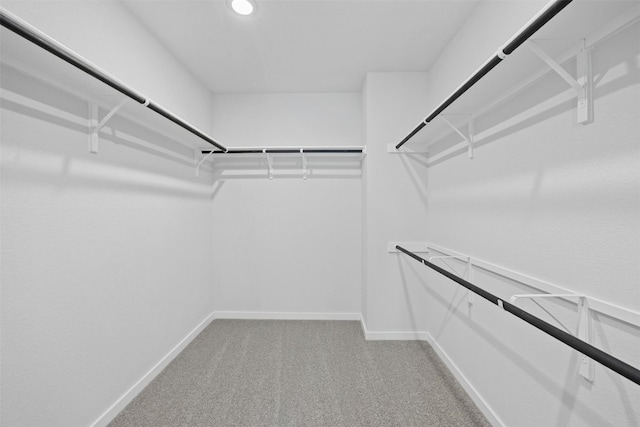 spacious closet with light colored carpet