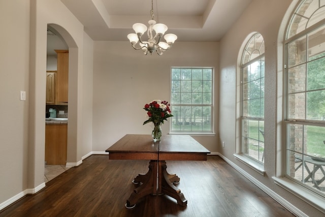 interior space with a raised ceiling, hardwood / wood-style flooring, and a chandelier