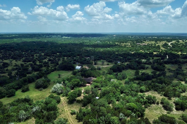 view of bird's eye view