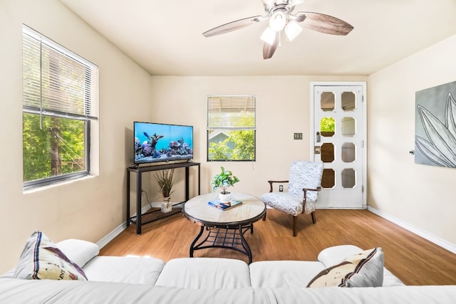 4812 Ave G, Austin, TX 78751 - photo 21